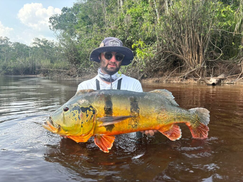 peacock bass amazonie peche voyage bresil 24