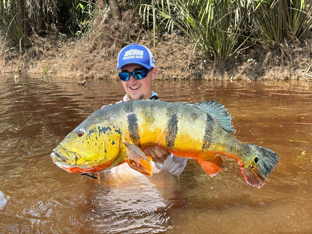 peacock bass amazonie peche voyage bresil 23