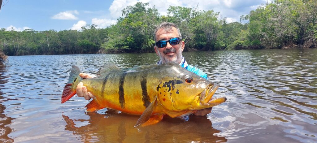 pêche en Amazonie peacock bass 1